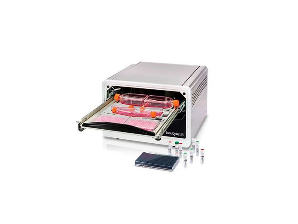 Cell Analysis Reagents and Consumables