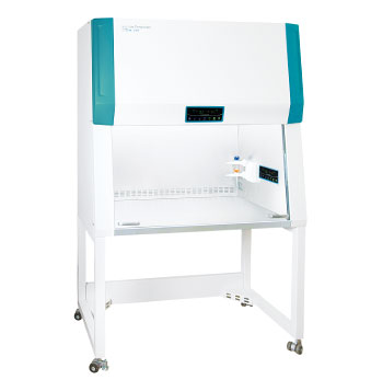 Clean Bench (Advanced)