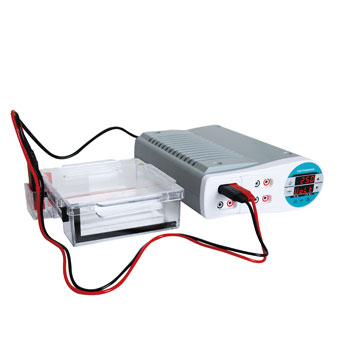 Electrophoresis Systems