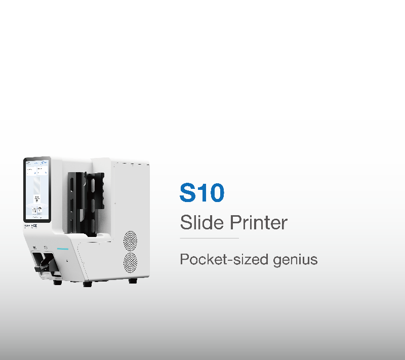 Dakewe SurePrint S10